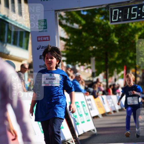 20.09.2026 - PSD Bank Halbmarathon LAZAROV Photography http://msf.ph/oto/10548545 20.09.2026 10:35:23 Ziel 203, 287, 303, 311, 423, 440, 460 meine-sportfotos.de