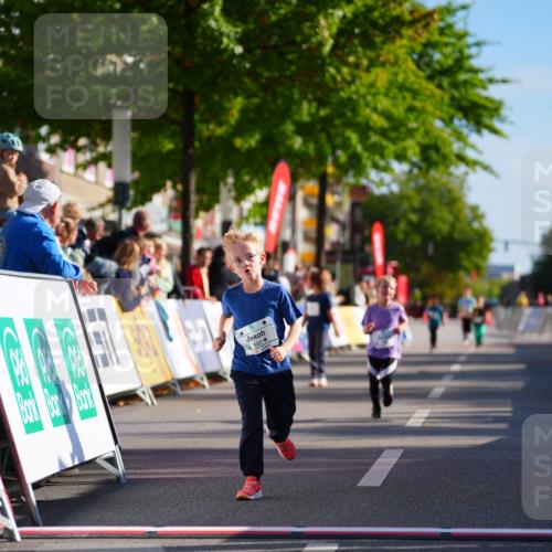 20.09.2026 - PSD Bank Halbmarathon LAZAROV Photography http://msf.ph/oto/10548551 20.09.2026 10:35:26 Ziel 311, 385, 423, 440, 460 meine-sportfotos.de