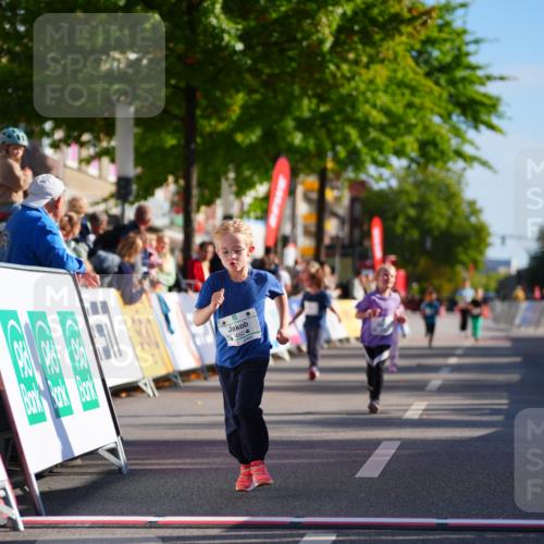 20.09.2026 - PSD Bank Halbmarathon LAZAROV Photography http://msf.ph/oto/10548552 20.09.2026 10:35:26 Ziel 311, 385, 423, 440, 460 meine-sportfotos.de
