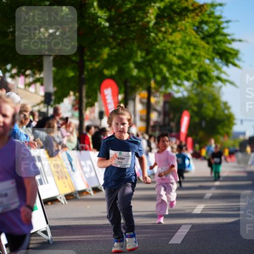 20.09.2026 - PSD Bank Halbmarathon LAZAROV Photography http://msf.ph/oto/10548561 20.09.2026 10:35:32 Ziel 169, 366, 385, 460 meine-sportfotos.de