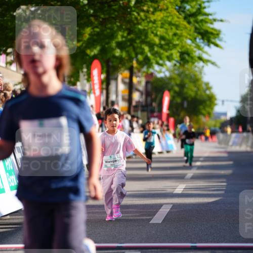 20.09.2026 - PSD Bank Halbmarathon LAZAROV Photography http://msf.ph/oto/10548565 20.09.2026 10:35:33 Ziel 169, 192, 366, 385, 460 meine-sportfotos.de