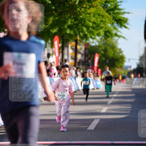 20.09.2026 - PSD Bank Halbmarathon LAZAROV Photography http://msf.ph/oto/10548566 20.09.2026 10:35:33 Ziel 169, 192, 366, 385, 460 meine-sportfotos.de