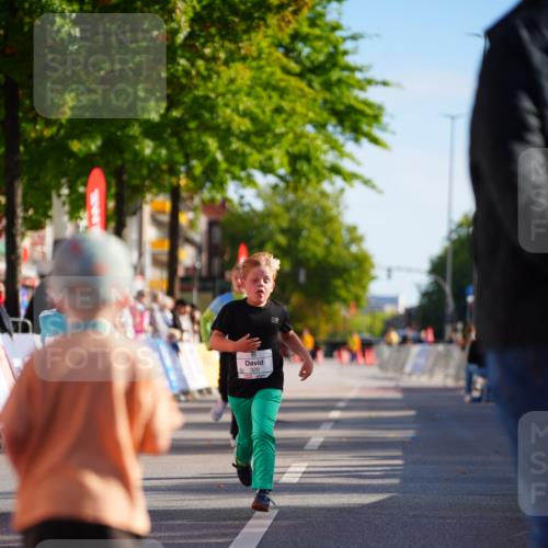20.09.2026 - PSD Bank Halbmarathon LAZAROV Photography http://msf.ph/oto/10548567 20.09.2026 10:35:37 Ziel 169, 192, 320, 366, 385, 404 meine-sportfotos.de