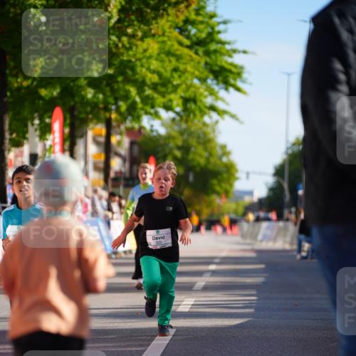 20.09.2026 - PSD Bank Halbmarathon LAZAROV Photography http://msf.ph/oto/10548568 20.09.2026 10:35:37 Ziel 169, 192, 320, 366, 385, 404 meine-sportfotos.de