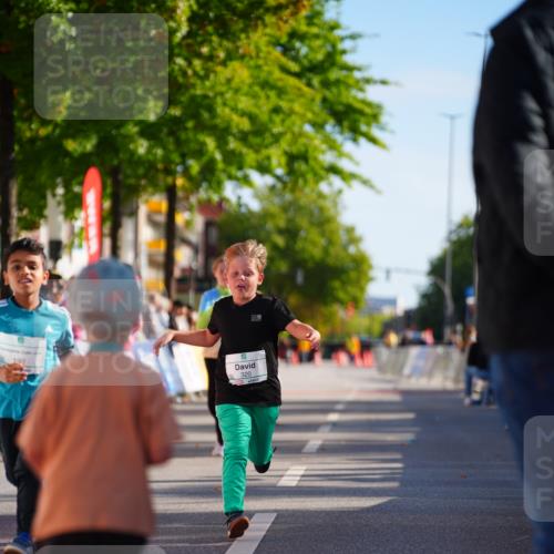 20.09.2026 - PSD Bank Halbmarathon LAZAROV Photography http://msf.ph/oto/10548569 20.09.2026 10:35:37 Ziel 169, 192, 320, 366, 385, 404 meine-sportfotos.de