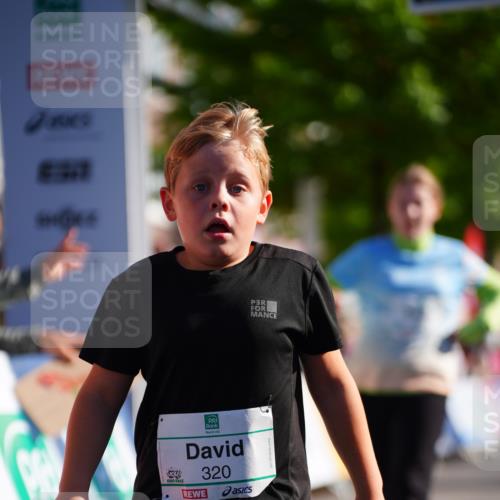20.09.2026 - PSD Bank Halbmarathon LAZAROV Photography http://msf.ph/oto/10548577 20.09.2026 10:35:40 Ziel 169, 192, 320, 366, 404 meine-sportfotos.de