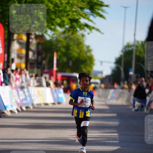20.09.2026 - PSD Bank Halbmarathon LAZAROV Photography http://msf.ph/oto/10548595 20.09.2026 10:36:15 Ziel 442 meine-sportfotos.de
