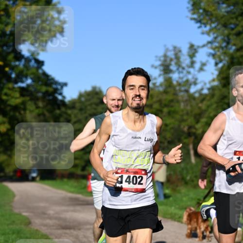 27.09.2026 - 35. Volkslauf durch das schöne Alstertal Dr. Thomas Lammeyer http://msf.ph/oto/10561107 27.09.2026 10:03:34 Laufen 1402 meine-sportfotos.de