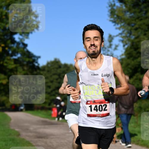 27.09.2026 - 35. Volkslauf durch das schöne Alstertal Dr. Thomas Lammeyer http://msf.ph/oto/10561109 27.09.2026 10:03:34 Laufen 1402 meine-sportfotos.de