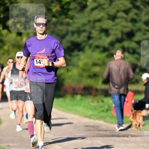 27.09.2026 - 35. Volkslauf durch das schöne Alstertal Dr. Thomas Lammeyer http://msf.ph/oto/10561117 27.09.2026 10:03:46 Laufen 14 meine-sportfotos.de
