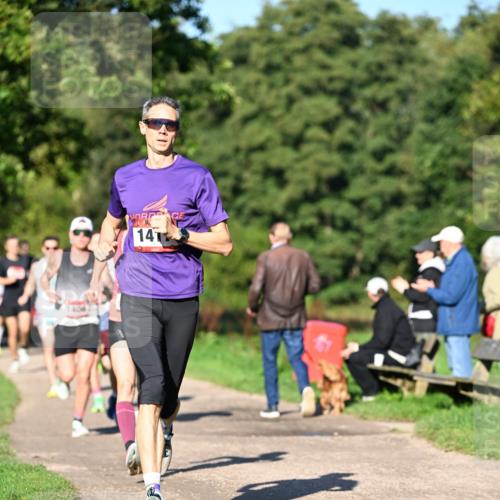 27.09.2026 - 35. Volkslauf durch das schöne Alstertal Dr. Thomas Lammeyer http://msf.ph/oto/10561122 27.09.2026 10:03:47 Laufen 14 meine-sportfotos.de