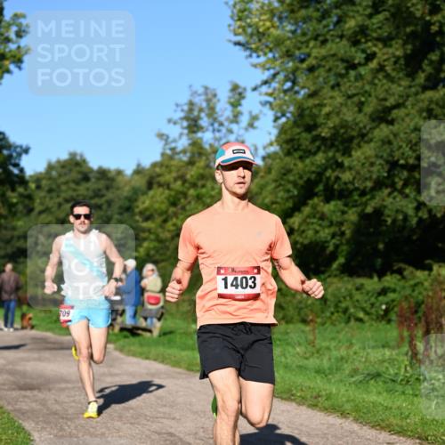 27.09.2026 - 35. Volkslauf durch das schöne Alstertal Dr. Thomas Lammeyer http://msf.ph/oto/10561152 27.09.2026 10:03:52 Laufen 709, 1403 meine-sportfotos.de