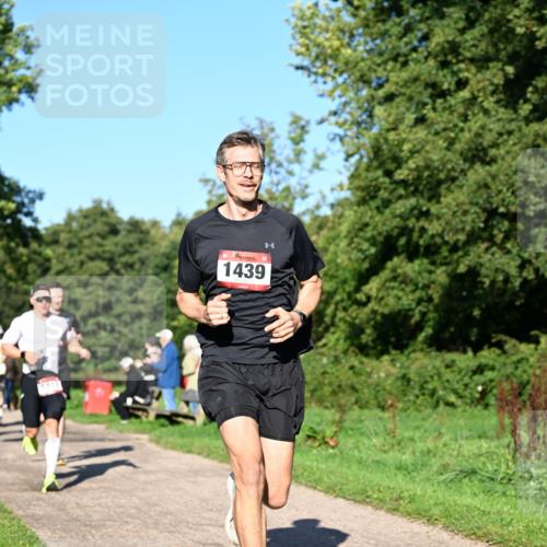 27.09.2026 - 35. Volkslauf durch das schöne Alstertal Dr. Thomas Lammeyer http://msf.ph/oto/10561168 27.09.2026 10:03:56 Laufen 1411, 1439 meine-sportfotos.de