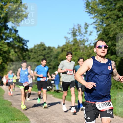 27.09.2026 - 34. Volkslauf durch das schöne Alstertal Dr. Thomas Lammeyer http://msf.ph/oto/10561267 27.09.2026 10:04:13 Laufen 409, 1600 meine-sportfotos.de