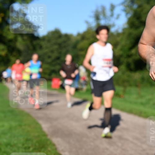 27.09.2026 - 34. Volkslauf durch das schöne Alstertal Dr. Thomas Lammeyer http://msf.ph/oto/10561277 27.09.2026 10:04:16 Laufen  meine-sportfotos.de