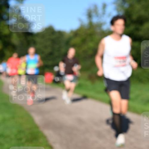 27.09.2026 - 34. Volkslauf durch das schöne Alstertal Dr. Thomas Lammeyer http://msf.ph/oto/10561280 27.09.2026 10:04:16 Laufen  meine-sportfotos.de