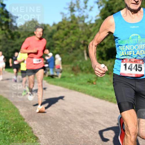 27.09.2026 - 34. Volkslauf durch das schöne Alstertal Dr. Thomas Lammeyer http://msf.ph/oto/10561298 27.09.2026 10:04:19 Laufen 1445 meine-sportfotos.de