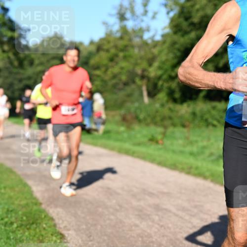 27.09.2026 - 34. Volkslauf durch das schöne Alstertal Dr. Thomas Lammeyer http://msf.ph/oto/10561299 27.09.2026 10:04:19 Laufen 1445 meine-sportfotos.de