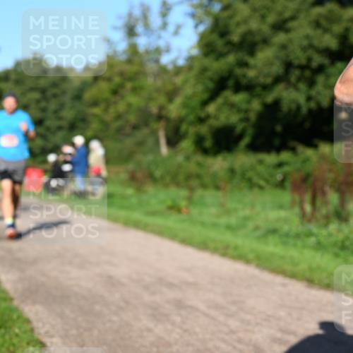 27.09.2026 - 34. Volkslauf durch das schöne Alstertal Dr. Thomas Lammeyer http://msf.ph/oto/10561338 27.09.2026 10:04:25 Laufen  meine-sportfotos.de