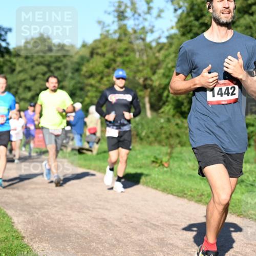 27.09.2026 - 35. Volkslauf durch das schöne Alstertal Dr. Thomas Lammeyer http://msf.ph/oto/10561424 27.09.2026 10:04:41 Laufen 1442 meine-sportfotos.de