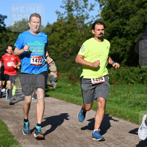 27.09.2026 - 35. Volkslauf durch das schöne Alstertal Dr. Thomas Lammeyer http://msf.ph/oto/10561437 27.09.2026 10:04:43 Laufen 1463, 1473, 1475, 2142 meine-sportfotos.de