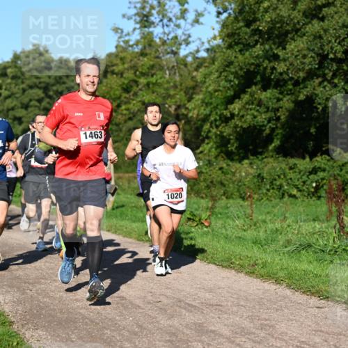 27.09.2026 - 35. Volkslauf durch das schöne Alstertal Dr. Thomas Lammeyer http://msf.ph/oto/10561449 27.09.2026 10:04:45 Laufen 1546, 505, 1463, 1020 meine-sportfotos.de