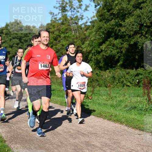 27.09.2026 - 35. Volkslauf durch das schöne Alstertal Dr. Thomas Lammeyer http://msf.ph/oto/10561450 27.09.2026 10:04:45 Laufen 1505, 143, 1463, 1020 meine-sportfotos.de