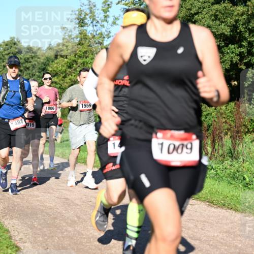 27.09.2026 - 35. Volkslauf durch das schöne Alstertal Dr. Thomas Lammeyer http://msf.ph/oto/10561563 27.09.2026 10:05:05 Laufen 1013, 487, 015, 1006, 1559, 1009 meine-sportfotos.de