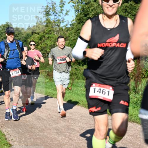 27.09.2026 - 35. Volkslauf durch das schöne Alstertal Dr. Thomas Lammeyer http://msf.ph/oto/10561566 27.09.2026 10:05:06 Laufen 10, 1013, 1634, 1487, 15, 1559, 1461 meine-sportfotos.de