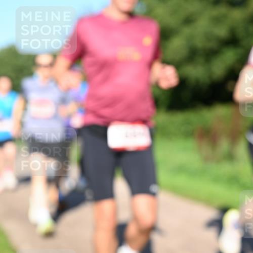 27.09.2026 - 35. Volkslauf durch das schöne Alstertal Dr. Thomas Lammeyer http://msf.ph/oto/10561583 27.09.2026 10:05:08 Laufen  meine-sportfotos.de