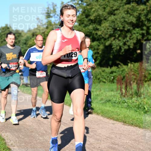 27.09.2026 - 35. Volkslauf durch das schöne Alstertal Dr. Thomas Lammeyer http://msf.ph/oto/10561633 27.09.2026 10:05:17 Laufen 1666, 1569, 029 meine-sportfotos.de