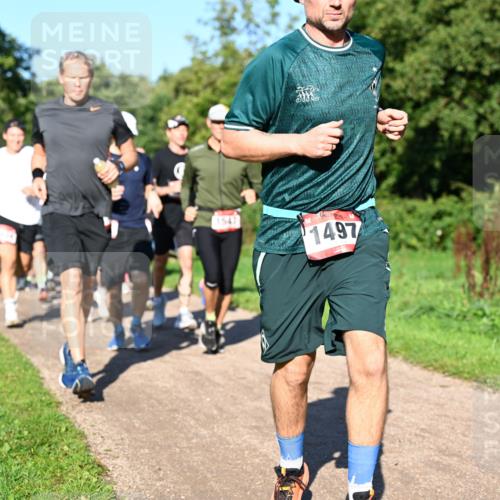 27.09.2026 - 35. Volkslauf durch das schöne Alstertal Dr. Thomas Lammeyer http://msf.ph/oto/10561685 27.09.2026 10:05:30 Laufen 1547, 1497 meine-sportfotos.de