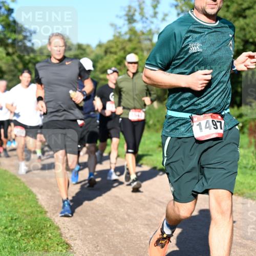 27.09.2026 - 35. Volkslauf durch das schöne Alstertal Dr. Thomas Lammeyer http://msf.ph/oto/10561686 27.09.2026 10:05:30 Laufen 1497 meine-sportfotos.de