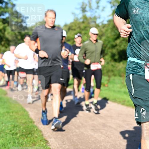27.09.2026 - 35. Volkslauf durch das schöne Alstertal Dr. Thomas Lammeyer http://msf.ph/oto/10561688 27.09.2026 10:05:30 Laufen 1497 meine-sportfotos.de