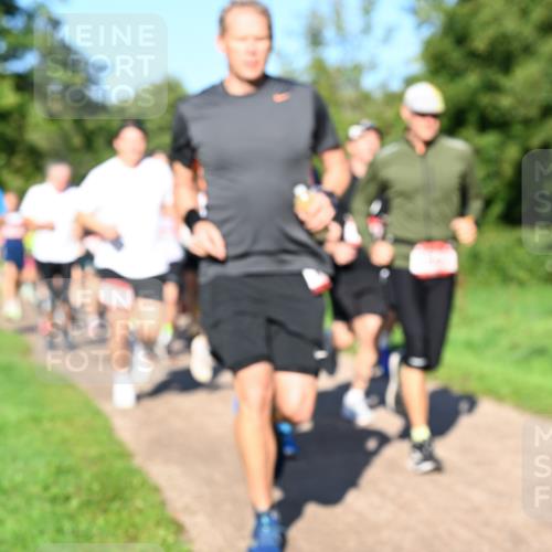 27.09.2026 - 35. Volkslauf durch das schöne Alstertal Dr. Thomas Lammeyer http://msf.ph/oto/10561692 27.09.2026 10:05:31 Laufen  meine-sportfotos.de