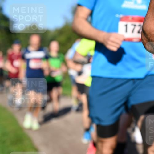 27.09.2026 - 35. Volkslauf durch das schöne Alstertal Dr. Thomas Lammeyer http://msf.ph/oto/10561705 27.09.2026 10:05:35 Laufen 172 meine-sportfotos.de