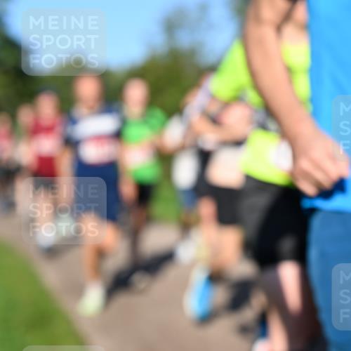 27.09.2026 - 35. Volkslauf durch das schöne Alstertal Dr. Thomas Lammeyer http://msf.ph/oto/10561707 27.09.2026 10:05:36 Laufen 17 meine-sportfotos.de