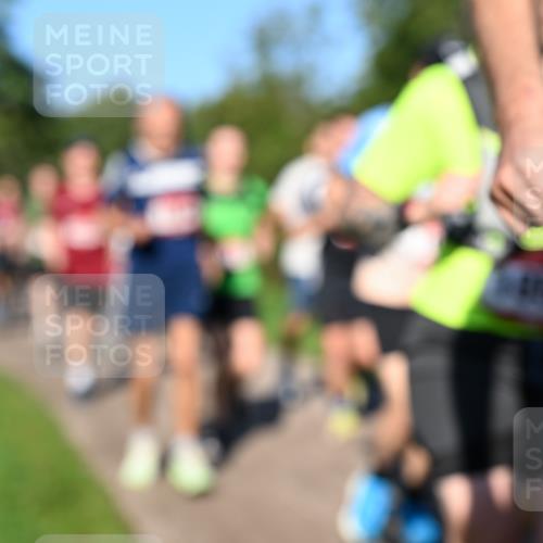 27.09.2026 - 35. Volkslauf durch das schöne Alstertal Dr. Thomas Lammeyer http://msf.ph/oto/10561708 27.09.2026 10:05:36 Laufen  meine-sportfotos.de