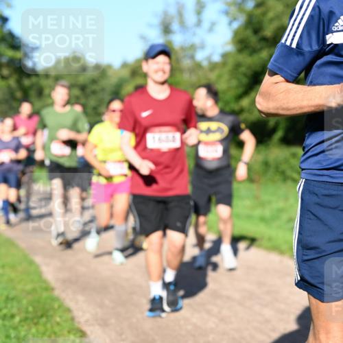 27.09.2026 - 35. Volkslauf durch das schöne Alstertal Dr. Thomas Lammeyer http://msf.ph/oto/10561717 27.09.2026 10:05:37 Laufen 1594 meine-sportfotos.de
