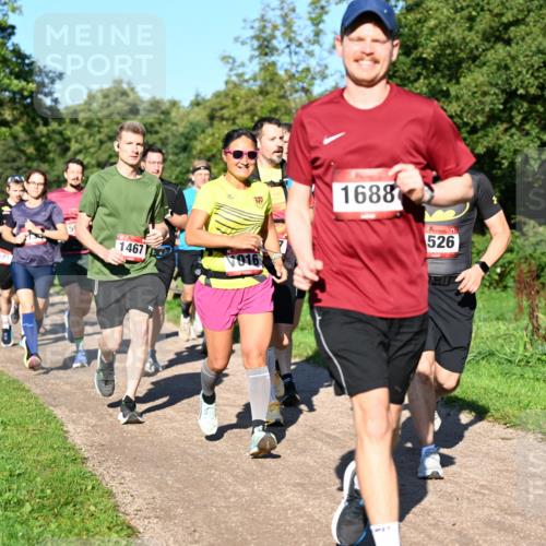27.09.2026 - 35. Volkslauf durch das schöne Alstertal Dr. Thomas Lammeyer http://msf.ph/oto/10561719 27.09.2026 10:05:38 Laufen 1467, 016, 1688, 526 meine-sportfotos.de