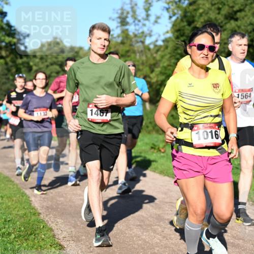 27.09.2026 - 35. Volkslauf durch das schöne Alstertal Dr. Thomas Lammeyer http://msf.ph/oto/10561726 27.09.2026 10:05:39 Laufen 1132, 1467, 1016, 1564 meine-sportfotos.de