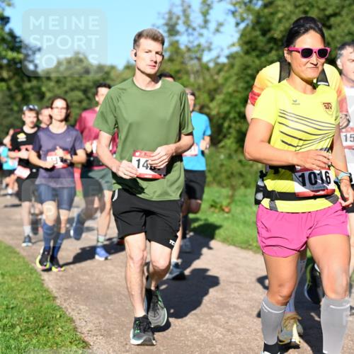 27.09.2026 - 35. Volkslauf durch das schöne Alstertal Dr. Thomas Lammeyer http://msf.ph/oto/10561727 27.09.2026 10:05:39 Laufen 14, 1016, 1564 meine-sportfotos.de