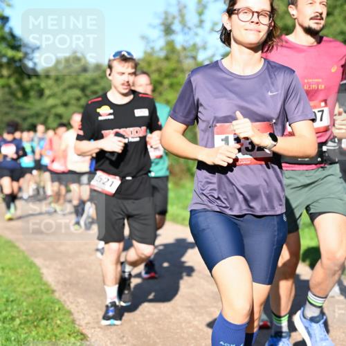 27.09.2026 - 35. Volkslauf durch das schöne Alstertal Dr. Thomas Lammeyer http://msf.ph/oto/10561741 27.09.2026 10:05:41 Laufen 521, 42, 195, 7 meine-sportfotos.de
