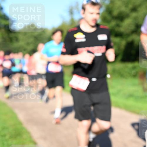 27.09.2026 - 35. Volkslauf durch das schöne Alstertal Dr. Thomas Lammeyer http://msf.ph/oto/10561745 27.09.2026 10:05:42 Laufen  meine-sportfotos.de