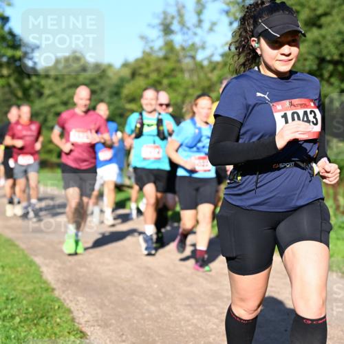 27.09.2026 - 35. Volkslauf durch das schöne Alstertal Dr. Thomas Lammeyer http://msf.ph/oto/10561769 27.09.2026 10:05:46 Laufen 1043 meine-sportfotos.de