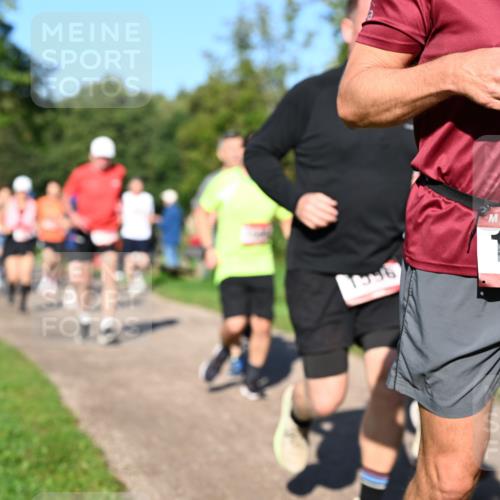 27.09.2026 - 35. Volkslauf durch das schöne Alstertal Dr. Thomas Lammeyer http://msf.ph/oto/10561797 27.09.2026 10:05:50 Laufen 1996, 1598 meine-sportfotos.de