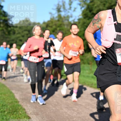 27.09.2026 - 35. Volkslauf durch das schöne Alstertal Dr. Thomas Lammeyer http://msf.ph/oto/10561831 27.09.2026 10:05:55 Laufen 1035 meine-sportfotos.de