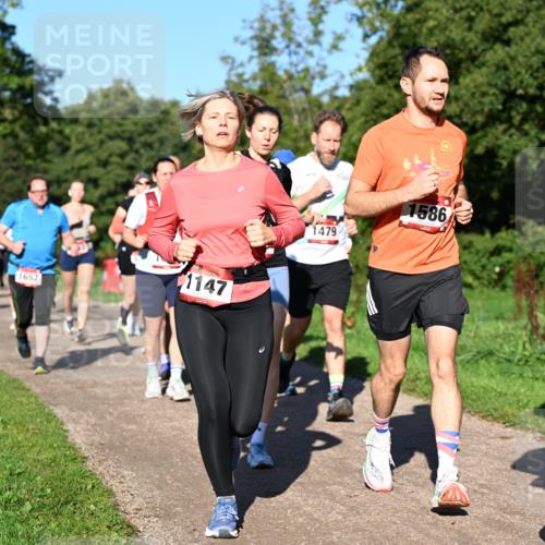 27.09.2026 - 35. Volkslauf durch das schöne Alstertal Dr. Thomas Lammeyer http://msf.ph/oto/10561834 27.09.2026 10:05:56 Laufen 1652, 1147, 1479, 1586, 1741 meine-sportfotos.de