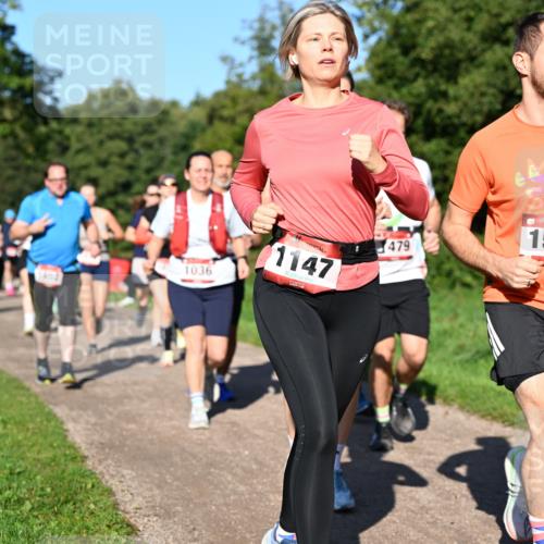 27.09.2026 - 35. Volkslauf durch das schöne Alstertal Dr. Thomas Lammeyer http://msf.ph/oto/10561838 27.09.2026 10:05:56 Laufen 1036, 1147, 479, 1586 meine-sportfotos.de
