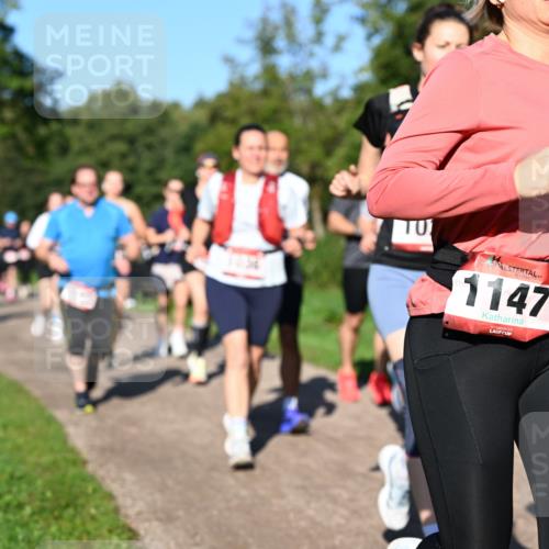 27.09.2026 - 35. Volkslauf durch das schöne Alstertal Dr. Thomas Lammeyer http://msf.ph/oto/10561840 27.09.2026 10:05:57 Laufen 1147 meine-sportfotos.de